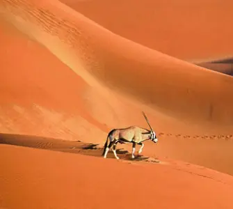 Namibia Travel Packages
