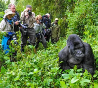 Uganda Travel Packages